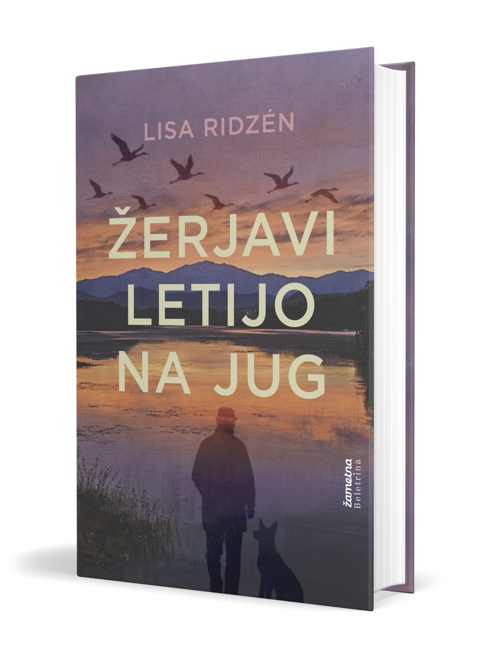 Žerjavi letijo na jug