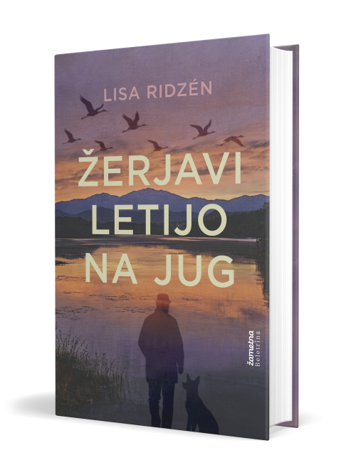 Naslovnica: Žerjavi letijo na jug