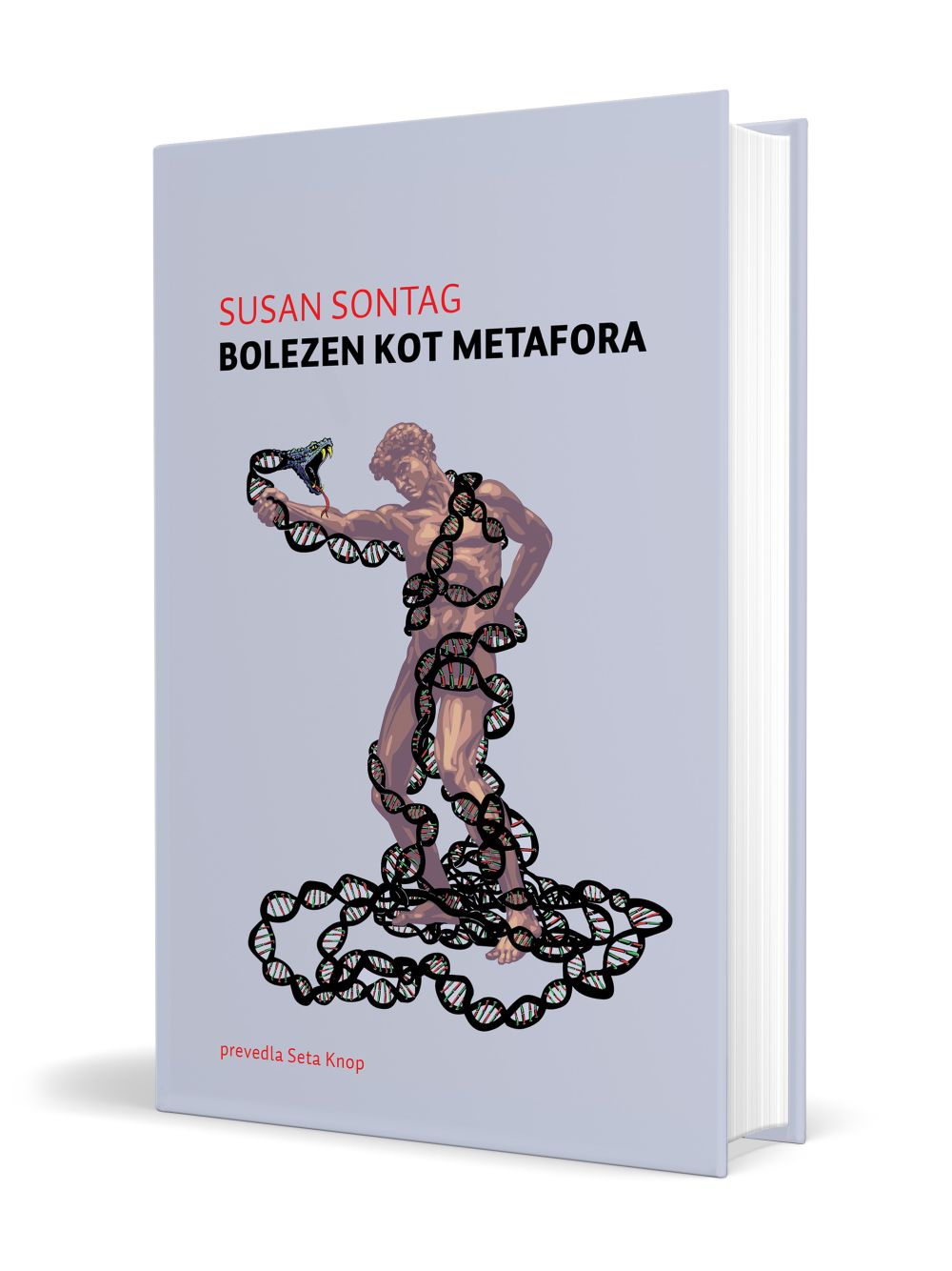 Bolezen kot metafora